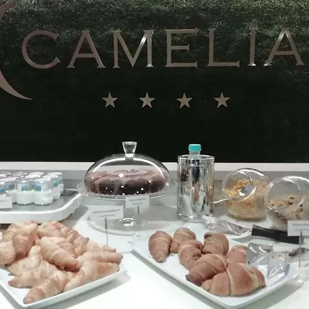 Camelia Motel 4*