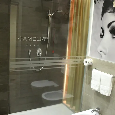Camelia Motel Cameri