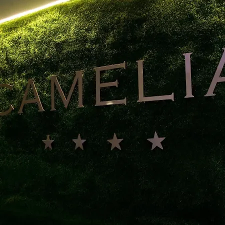 Camelia 4*