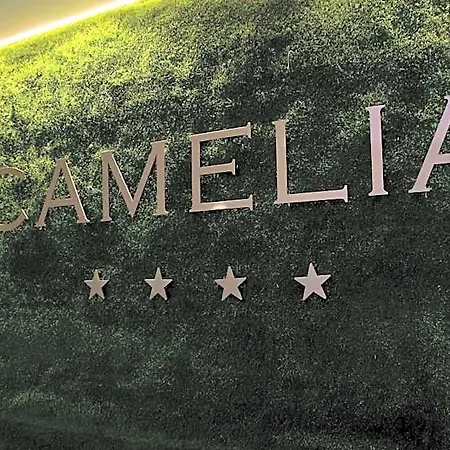 Camelia