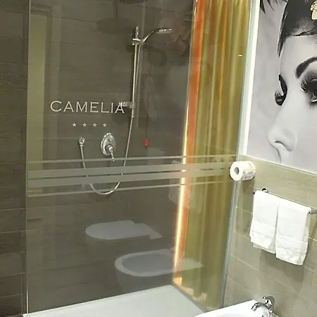 Hotel Camelia Cameri