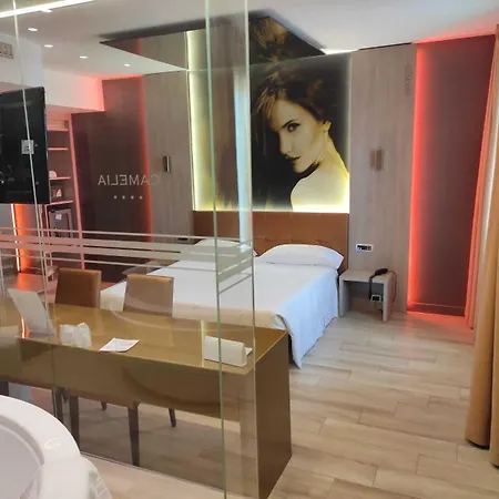 Camelia Hotel
