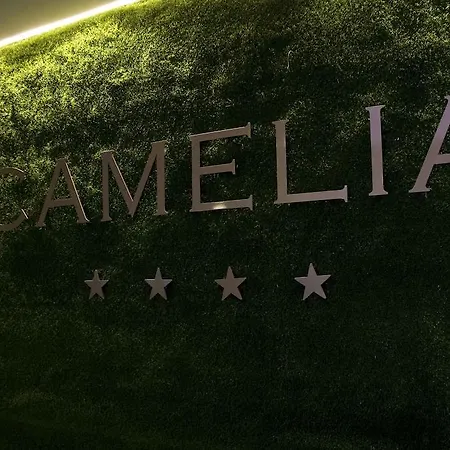 Motel Camelia Cameri
