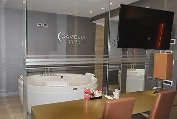 Hotel Camelia Cameri